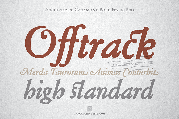 Archive Garamond Bold Italic Pro in Serif Fonts - product preview 1