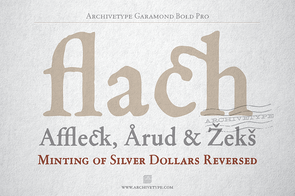 Archive Garamond Bold Pro in Serif Fonts - product preview 3