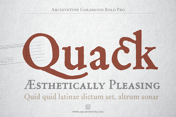 Archive Garamond Pro Family of 4 in Fonts - product preview 4