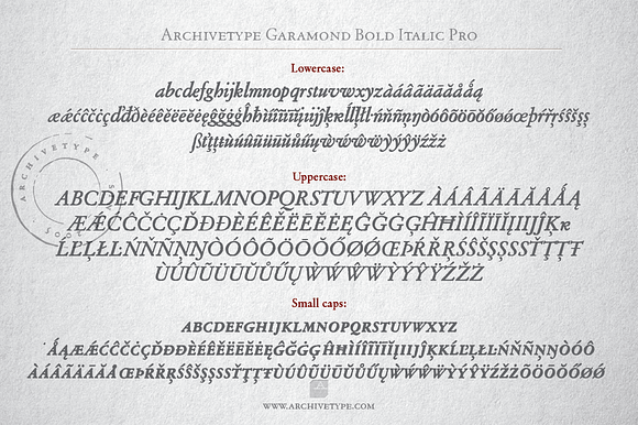 Archive Garamond Pro Family of 4 in Fonts - product preview 12