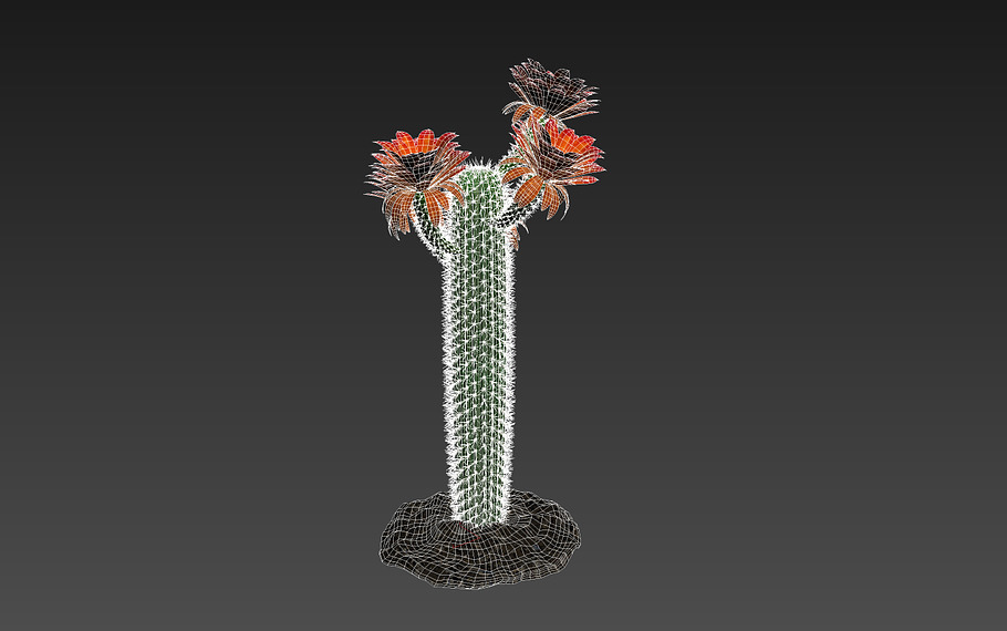 Cactus GF in Nature - product preview 3