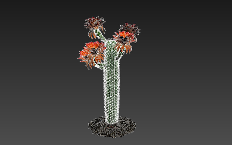 Cactus GF in Nature - product preview 4