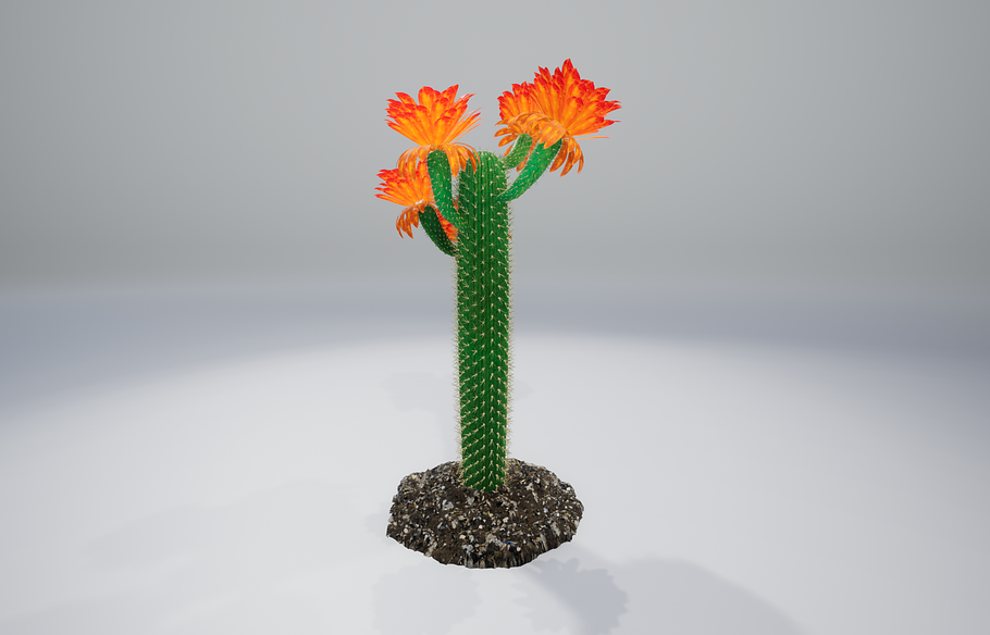 Cactus GF in Nature - product preview 7