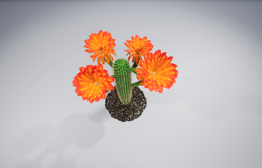 Cactus GF in Nature - product preview 8