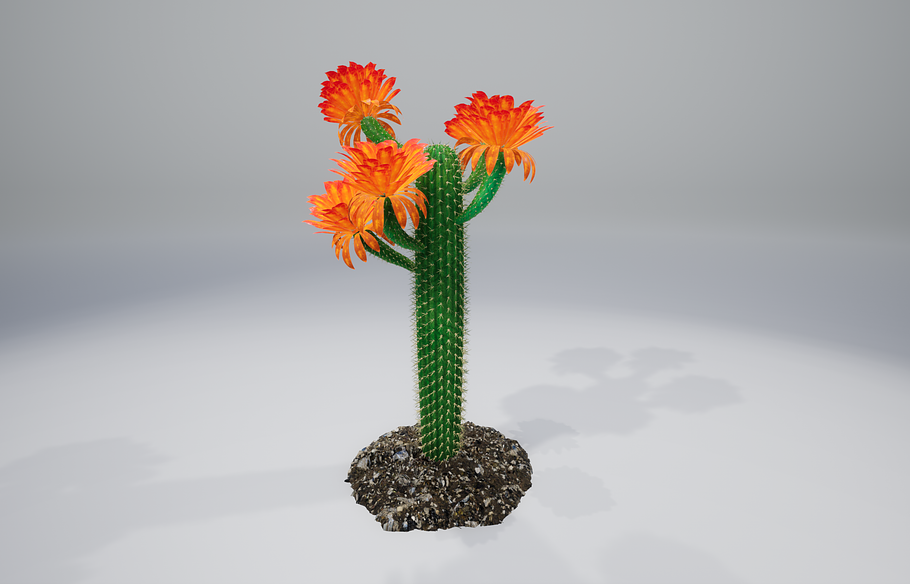 Cactus GF in Nature - product preview 9