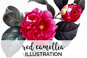 red camellia Vintage Flowers