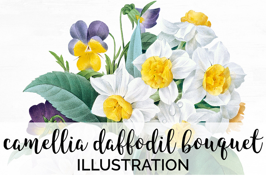 camellia daffodil bouquet Vintage in Illustrations - product preview 8