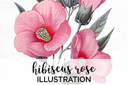 hibiscus rose Vintage Flowers