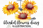 blanket flowers daisy Vintage Flower
