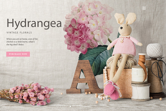 pink hydrangea Vintage Flowers in Illustrations - product preview 3