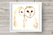 Love & Owls Watercolor Illustration