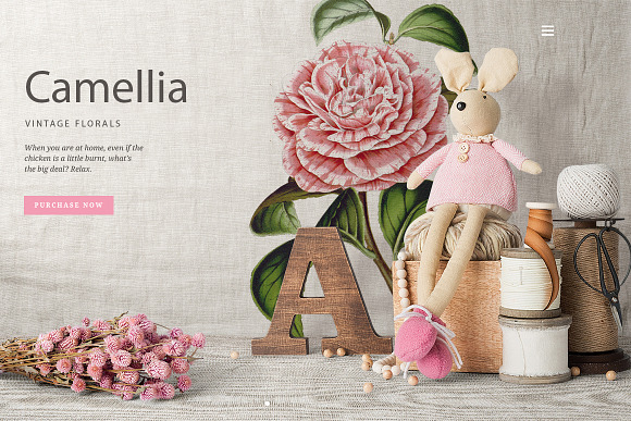Camellia Pink Flowers in Illustrations - product preview 3