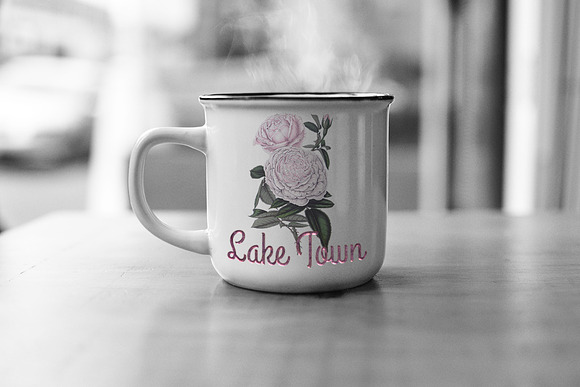 Roses Pink Roses in Illustrations - product preview 1