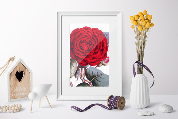 Roses Red Roses in Illustrations - product preview 3