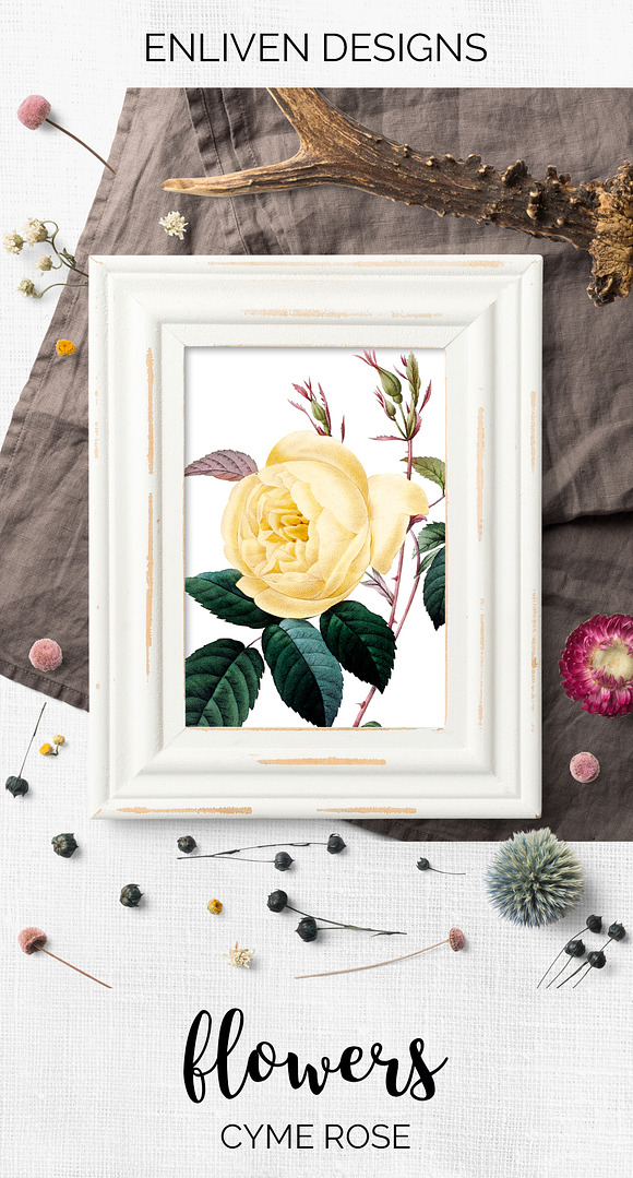 Rose Yellow Flowers in Illustrations - product preview 7