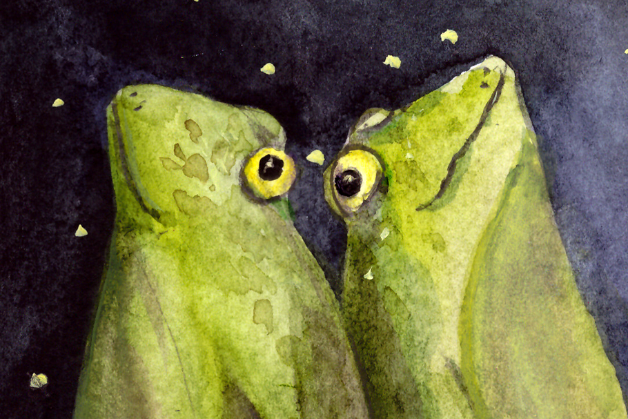 Dreaming Frogs Illustration / Print