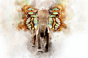 Elephant - watercolor illustration p