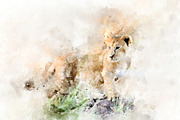 Lion cub - watercolor illustration p