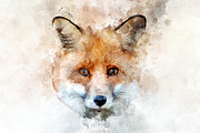 Red fox - watercolor illustration po