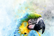Parrot - watercolor illustration por