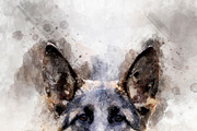 Dog - watercolor illustration portra