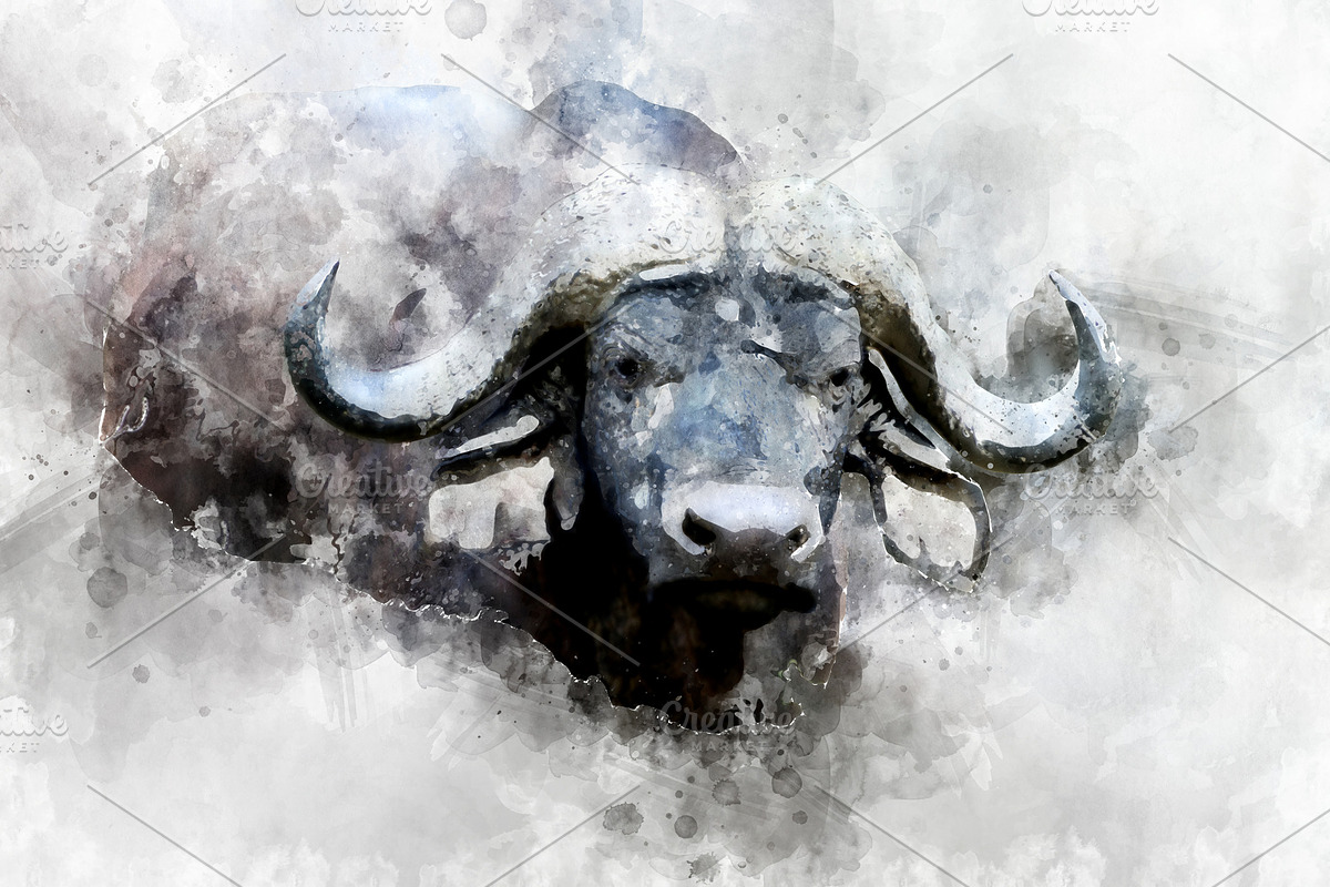Buffalo - watercolor illustration po in Illustrations - product preview 8