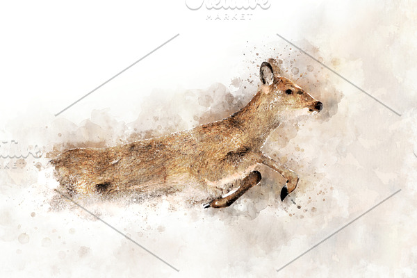 Deer - watercolor illustration portr