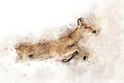 Deer - watercolor illustration portr