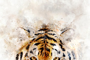 Tiger - watercolor illustration port