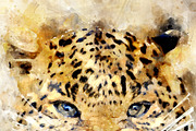 Leopard - watercolor illustration po