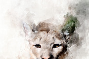 Cougar - watercolor illustration por