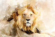 Lion - watercolor illustration portr