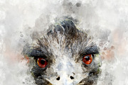 Ostrich - watercolor illustration po