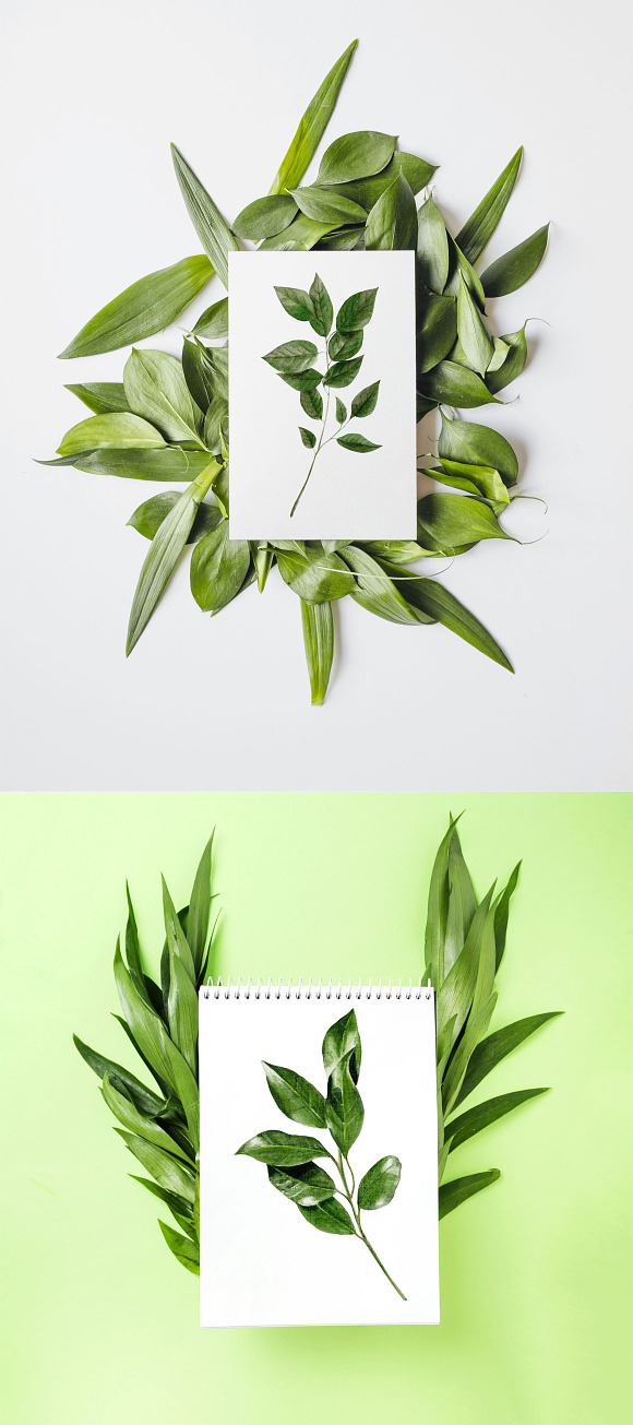 Spring greenery watercolor set in Illustrations - product preview 5