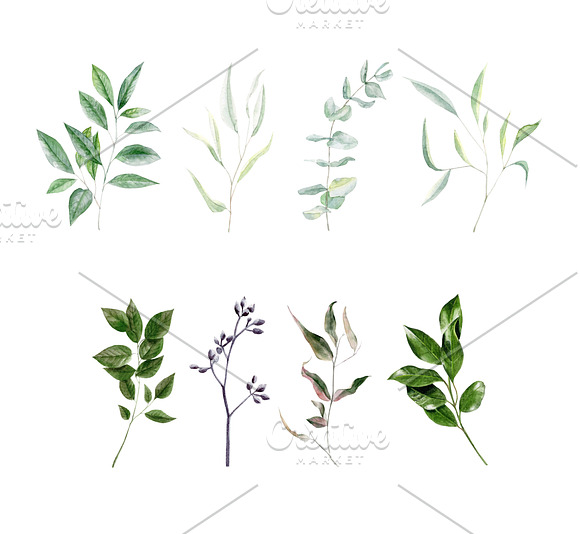 Spring greenery watercolor set in Illustrations - product preview 6