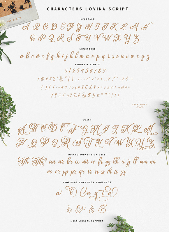 Lovina Fonts Family in Script Fonts - product preview 6