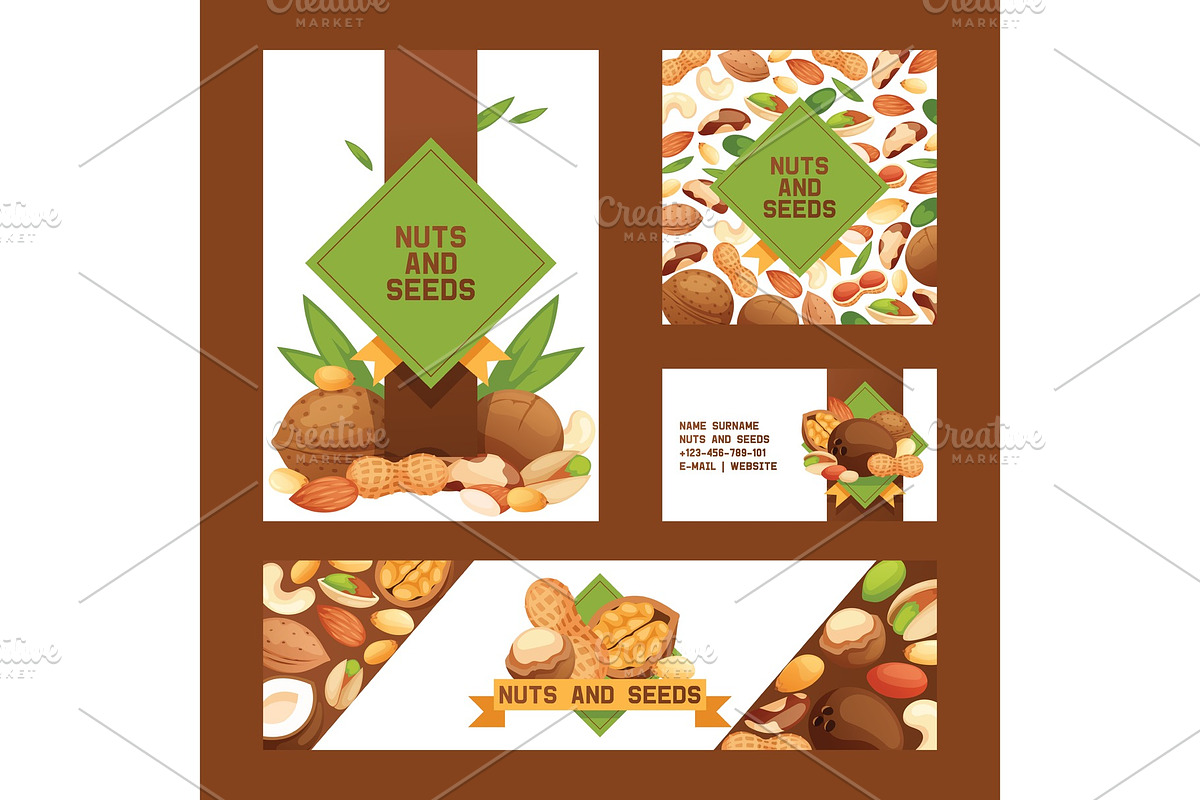Nut vector nutshell of hazelnut in Illustrations - product preview 8