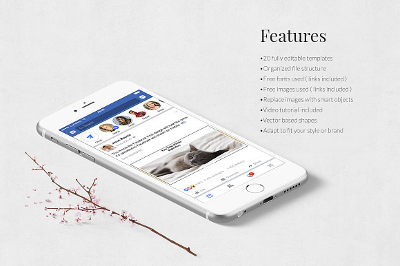 Cats Facebook Posts in Facebook Templates - product preview 2