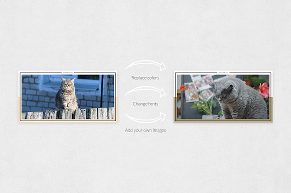 Cats Facebook Posts in Facebook Templates - product preview 4