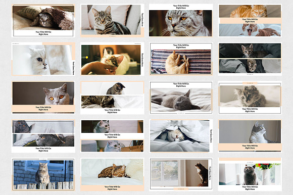 Cats Facebook Posts in Facebook Templates - product preview 6