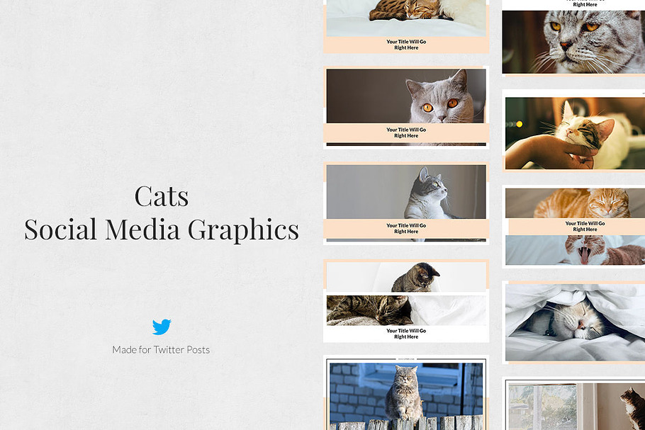 Cats Twitter Posts in Twitter Templates - product preview 8