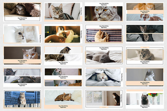 Cats Twitter Posts in Twitter Templates - product preview 6