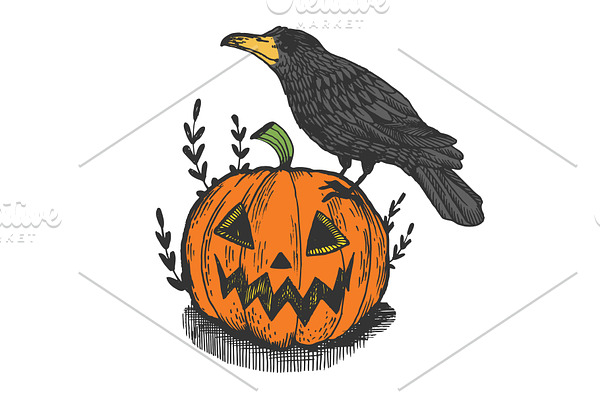 Crow and pumpkin engraving vector