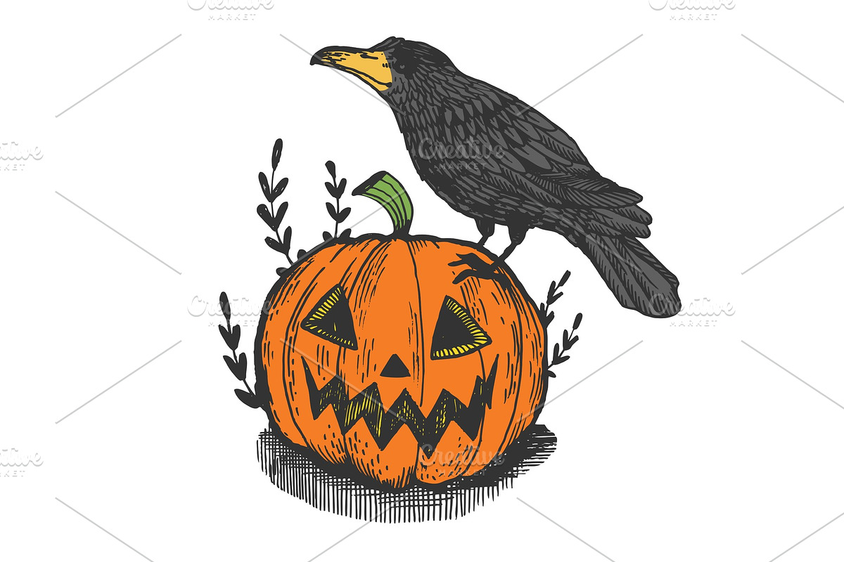 Crow and pumpkin engraving vector in Illustrations - product preview 8