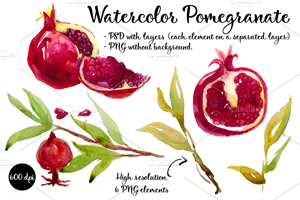 Watercolor pomegranate in Illustrations - product preview 8