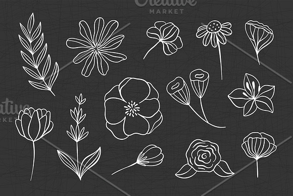 Swirls and Flourishes in Illustrations - product preview 5