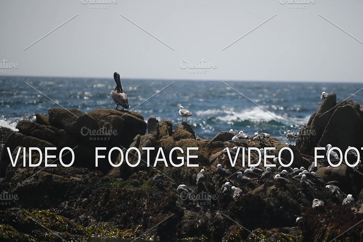 beautiful view of the rocky shore of in Graphics - product preview 8