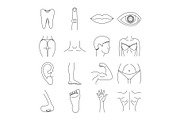 Body parts icons set, outline style