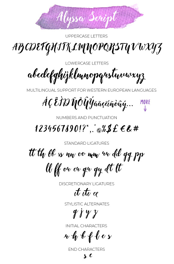 Alyssa Font Duo: Script & Sans Serif in Script Fonts - product preview 8