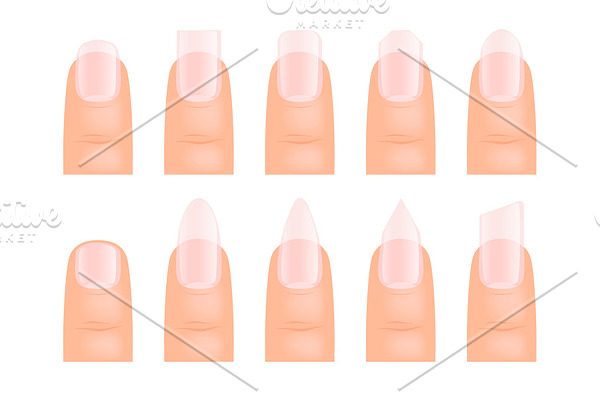 Manicure nails. Various type of